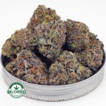 Buy Cannabis Pink Death AAAA MMJ Express Online Shop