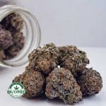 Buy Grape Kush AAAA at MMJ Express at MMJ Express Online Shop