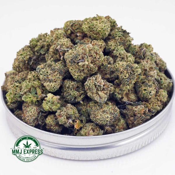 Buy Cannabis White Rhino AAAA (Popcorn Nugs) MMJ Express Online Shop