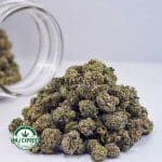 Buy Cannabis White Rhino AAAA (Popcorn Nugs) MMJ Express Online Shop