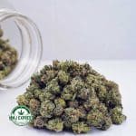 Buy Cannabis Afghan Haze AAAA (Popcorn Nugs) MMJ Express Online Shop