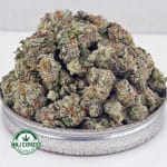 Buy Cannabis Dosi Punch AAAA (Popcorn Nuts) at MMJ Express Online Shop