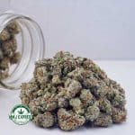 Buy Cannabis Dosi Punch AAAA (Popcorn Nuts) at MMJ Express Online Shop