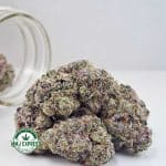Buy Cannabis Supreme Blueberry Cheesecake AAAA+, Craft at MMJ Express Online Shop