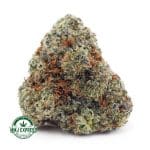 Buy Cannabis Gushers AAAA at MMJ Express Online Shop
