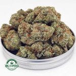 Buy Cannabis Gushers AAAA at MMJ Express Online Shop