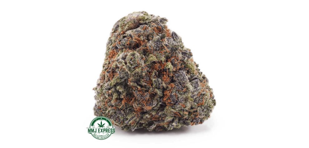 You should try the Granddaddy Purple strain the next time you buy cannabis online in Canada from our online weed dispensary. 