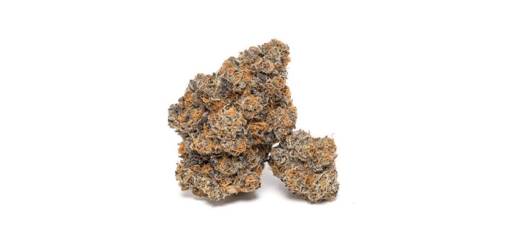 As powerful as the French monarch it's named after, King Louis XIII strain is not for the faint of heart. This strain is not a creeper, it hits hard, overwhelming your senses.