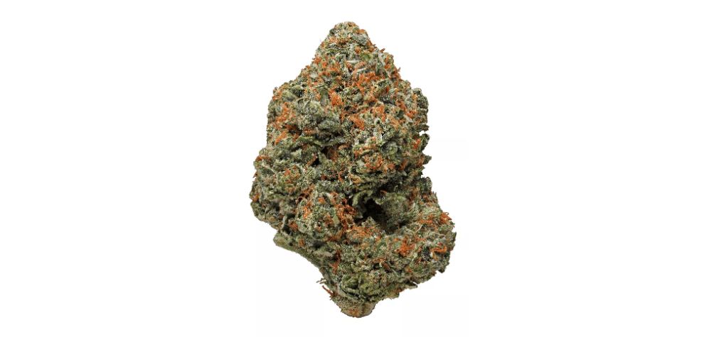 The King Louis weed strain comes from a royal OG family lineage. It is a cross between two of the most popular strains at our BC bud online dispensary in Canada, MMJ Express.