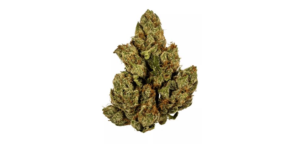 There are three main types of cannabis at our online weed dispensary: indica, sativa and hybrid. This classification helps you predict the effects a strain will have when you buy cannabis online.