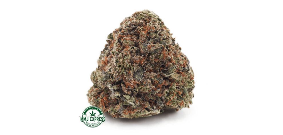 If you're a fan of strains that contain myrcene, limonene, and caryophyllene, you should try the Pink Kush strain today. 