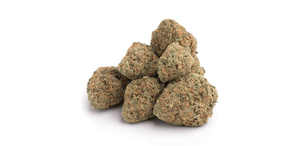 The Red Congolese strain is easily identifiable by its visually striking buds. As is typical of sativas, the nugs are elongated, fluffy and airy.