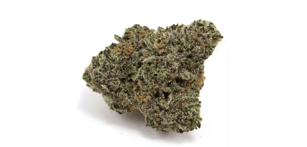 The Sensi Star strain has three main terpenes that will make you melt instantly. These terpenes add a mouthwatering aroma and flavour, as well as an enriching experience. 