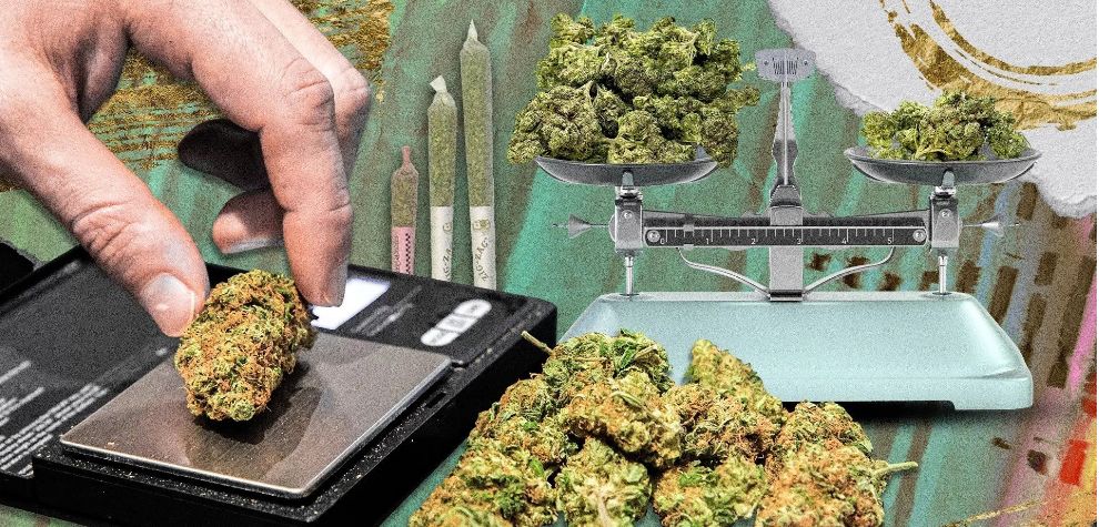 Lbs of weed, pounds, grams — how can a stoner guess the right quantities to buy from an online weed dispensary? Well, this guide to bulk weed will explain it all — cannabis quantities won't look like a foreign language anymore!