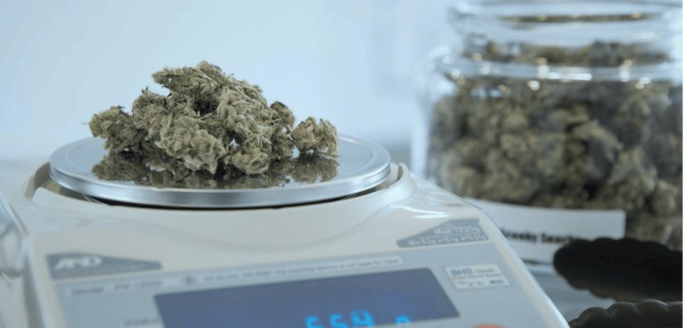 Whether you are buying for personal cannabis use or stocking up for future smoke sessions, knowing how much you are getting and how to measure weed can save you time, money, and headaches in the long run. 