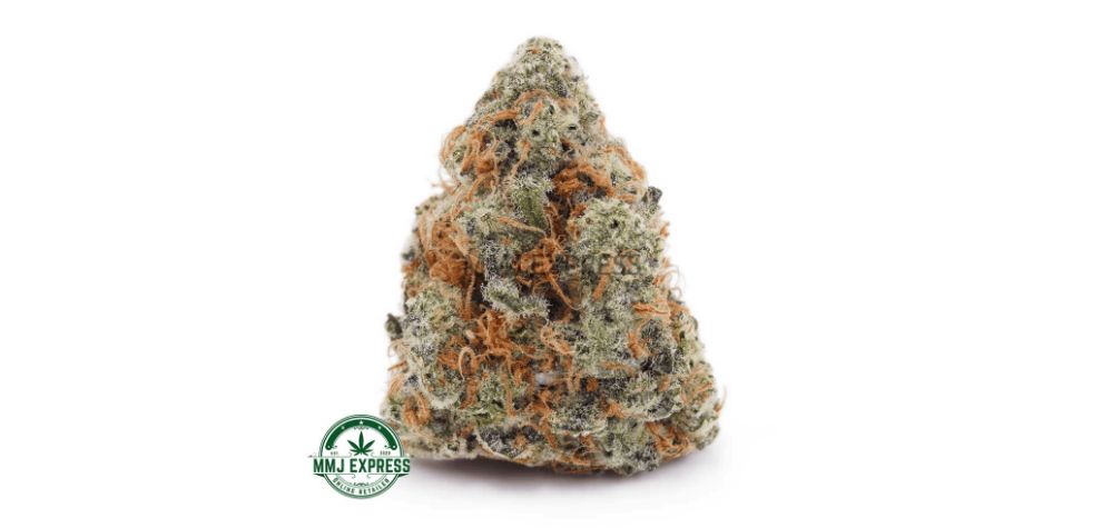 The White Widow AAA made itself to this list of top Sativa strains for a couple of reasons. 