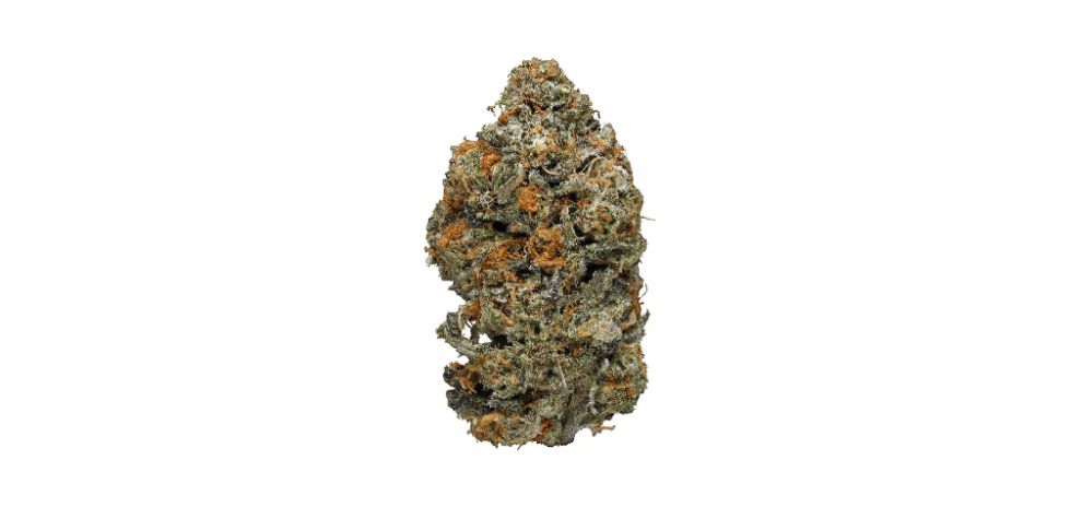 Animal Cookies, also known as Animal Crackers, is one of the most popular strains in the country. Consumers who order weed online at our cannabis store praise it for its high potency, deliciousness and incredible effects.