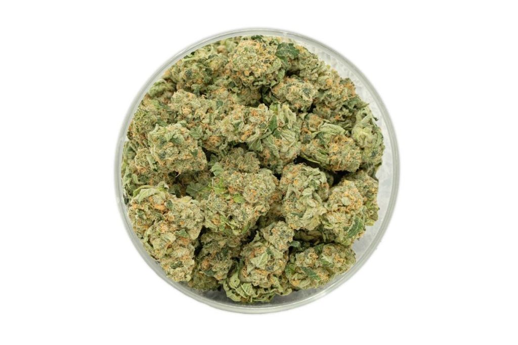 Alaskan Thunderfuck strain is a popular bud in Canada. Learn more about its name origins, flavour, THC & effects to determine if it's worth buying.