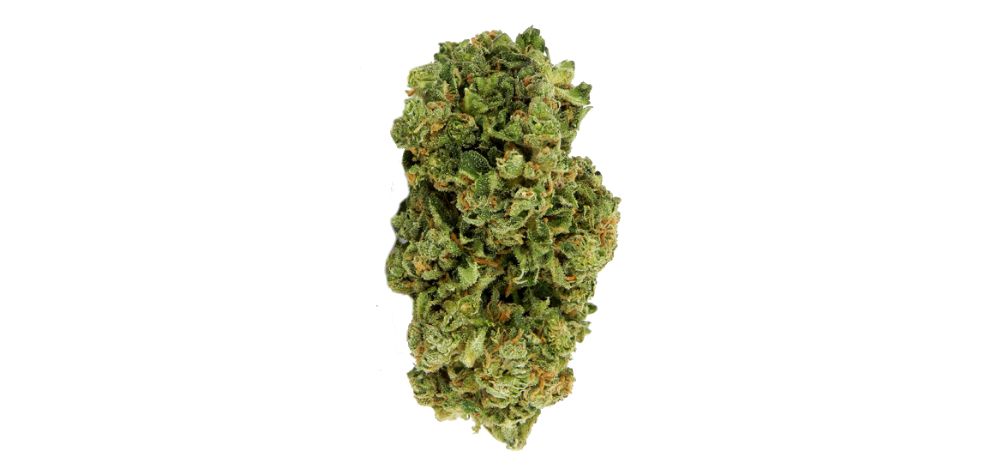 BC bud Online is said to be the most potent, aromatic and flavourful weed in the world. 