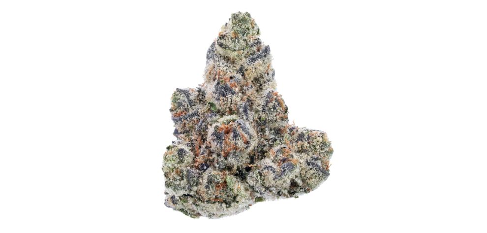 Green Crack is not only used for recreational purposes; it also has a series of therapeutic benefits that it offers. 