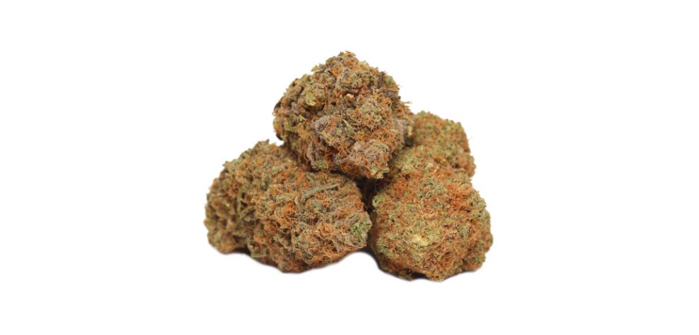 The Blueberry Dream is a Sativa hybrid containing 80:20 Sativa to Indica genetics. This means that the Blueberry Dream strain is energizing and it will increase social skills, creativity, and zest for life.