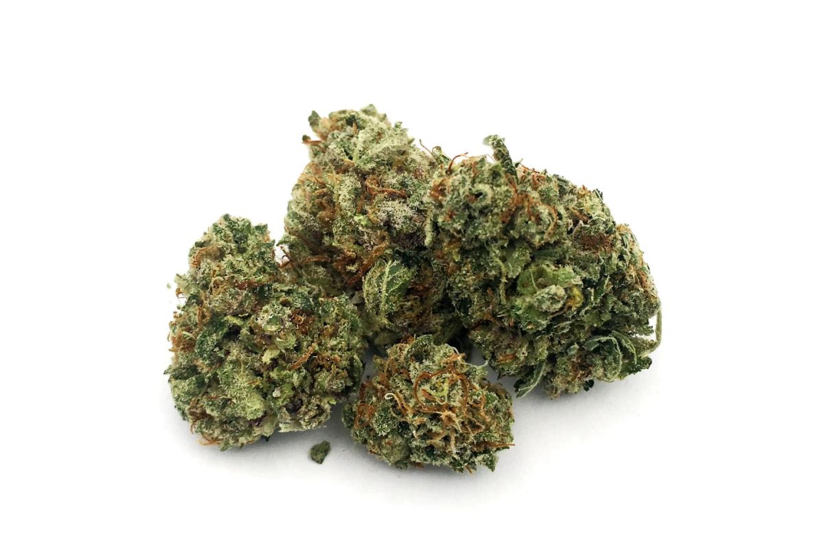 Struggling to buy bud online? Here are quick tips to help you navigate the process and buy weed within minutes! Read blog!