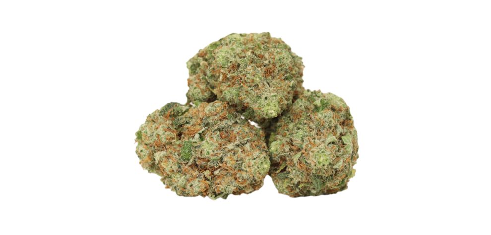 Grand Daddy Purps strain is worth buying. This premium strain has been popular in Canada for over two decades because of its unique effects, high THC potency and flavour.