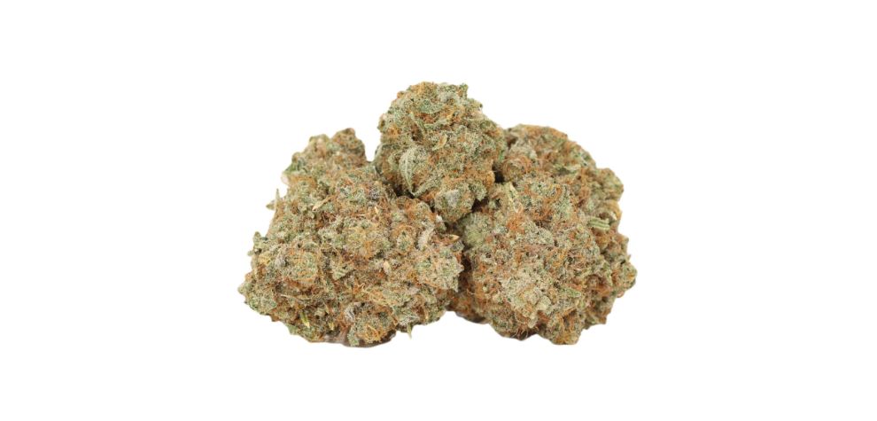 Do you want to try out the Green Crack strain? Buy a pack of Green Crack today at MMJExpress and enjoy premium weed at a competitive price served at your doorstep. 