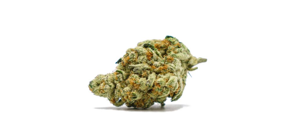 MMJExpress is the best place to buy high-quality weed online in Canada. We understand that product quality is an immediate priority and strive to offer you exactly that. 