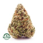 Buy Cannabis Banana OG AAA at MMJ Express Online Shop