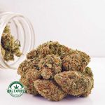 Buy Cannabis Banana OG AAA at MMJ Express Online Shop