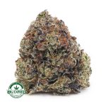 Buy Cannabis Vintage Gas AAAA+, Craft at MMJ Express Online Shop