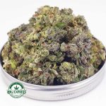 Buy Cannabis White Rhino AAA (Popcorn Nugs) MMJ Express Online Shop