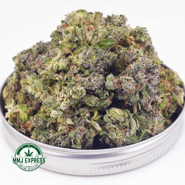 Buy Cannabis White Rhino AAA (Popcorn Nugs) MMJ Express Online Shop