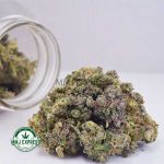 Buy Cannabis White Rhino AAA (Popcorn Nugs) MMJ Express Online Shop