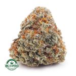 Buy Cannabis GMO Cookies AA at MMJ Express Online Shop