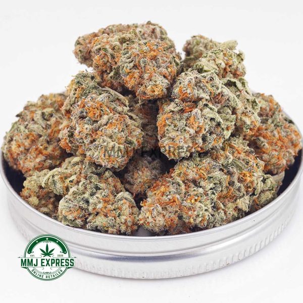 Buy Cannabis GMO Cookies AA at MMJ Express Online Shop