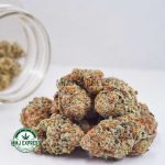 Buy Cannabis GMO Cookies AA at MMJ Express Online Shop