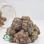 Buy Cannabis Pink Rob Ford AAAA+, Craft at MMJ Express Online Shop