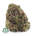 Buy Cannabis Death Star AA at MMJ Express Online Shop