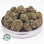 Buy Cannabis Death Star AA at MMJ Express Online Shop