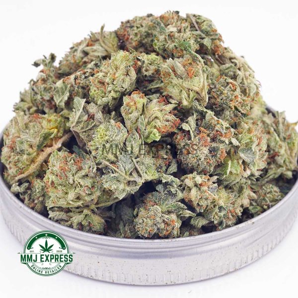 Buy Cannabis Blueberry Bomb AAAA (Popcorn Nugs) at MMJ Express Online Shop