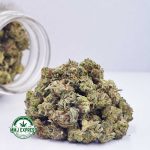 Buy Cannabis Frost Fruit Cake AAAA (Popcorn Nugs) at MMJ Express Online Shop