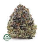 Buy Cannabis Supreme Death Bubba AAAA+, Craft at MMJ Express Online Shop