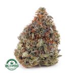 Buy Cannabis Godfather OG AAA at MMJ Express Online Shop