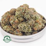 Buy Cannabis Godfather OG AAA at MMJ Express Online Shop