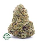 Buy Cannabis Strawberry Shortcake AAA at MMJ Express Online Shop