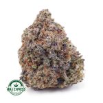 Buy Cannabis Kush Berry AAA at MMJ Express Online Shop