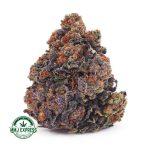 Buy Cannabis AK-47 AA at MMJ Express Online Shop