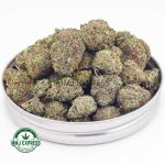 Buy Concentrates Cannabis Tropicana Cookies AAAA (Popcorn Nugs) at MMJ Express Online Shop